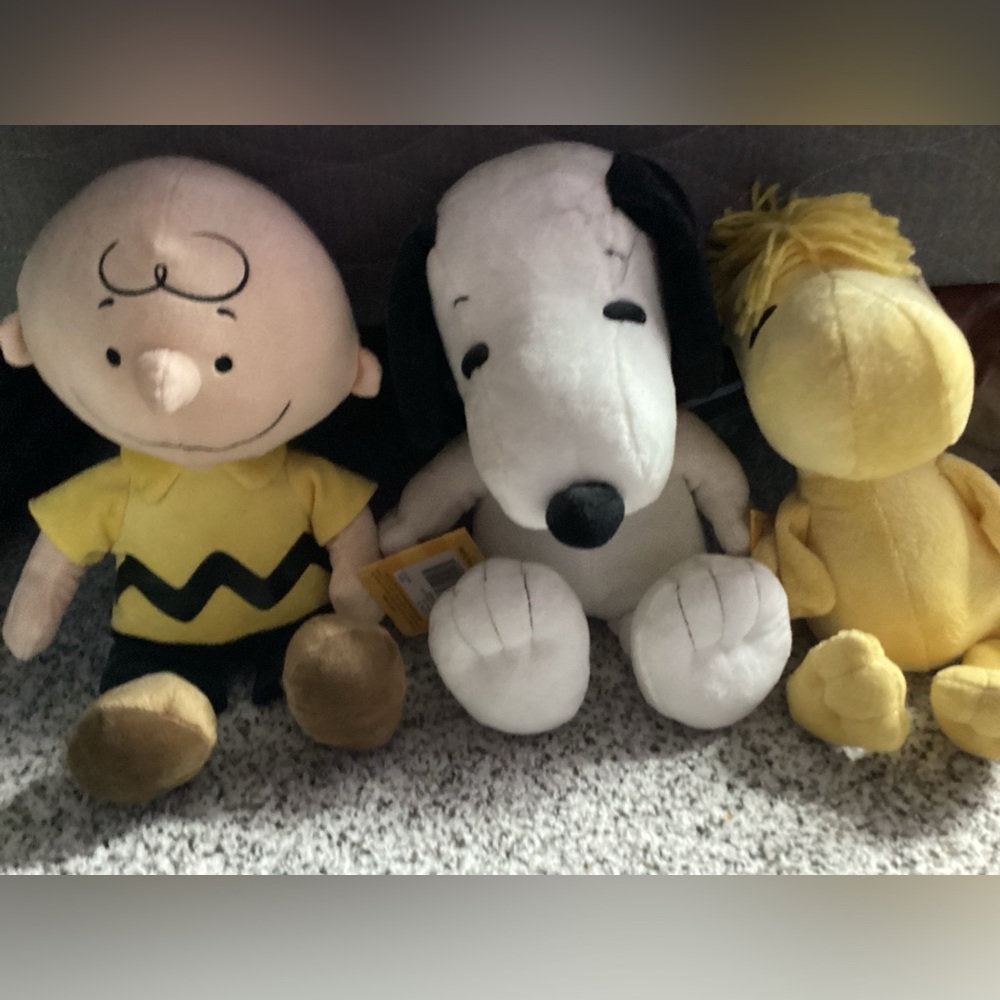 Snoopy, Charlie Brown, and Woodstock Set
